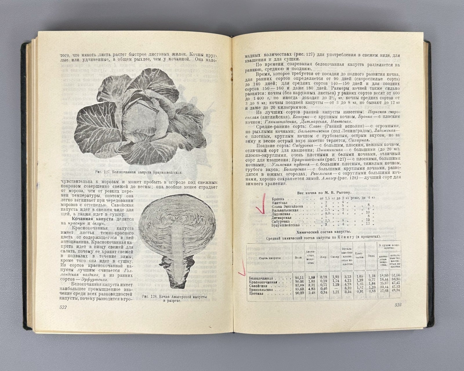 1st ed. Fruits & Vegetables 1930 Церевитинов Химия и товароведение Плоды Овощи