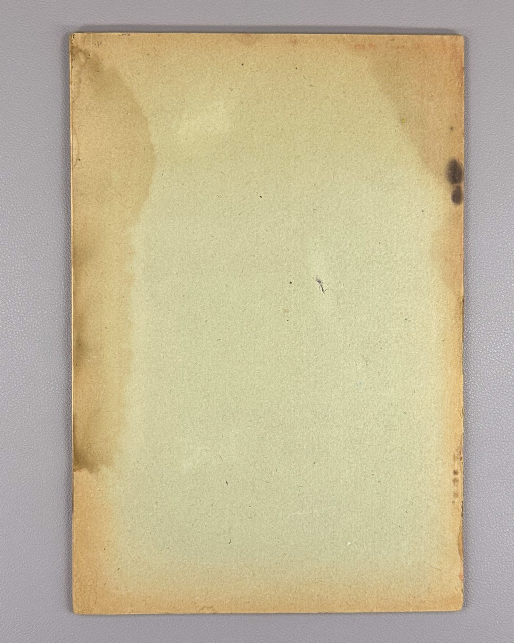 Екимов Итоги сортоиспытания плодовых пород в Абхазии 1926 Fruit Variety Abkhazia