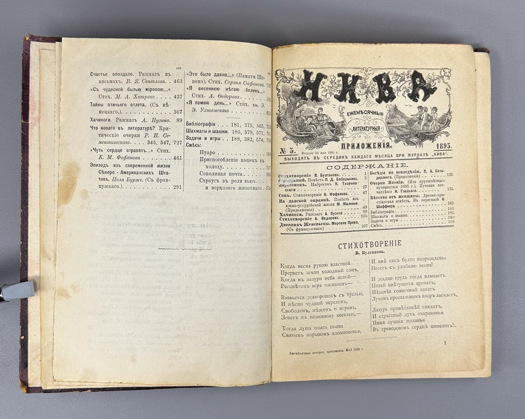Литературные приложения к журналу Нива за 1895 Niva Magazine Literary Supplement