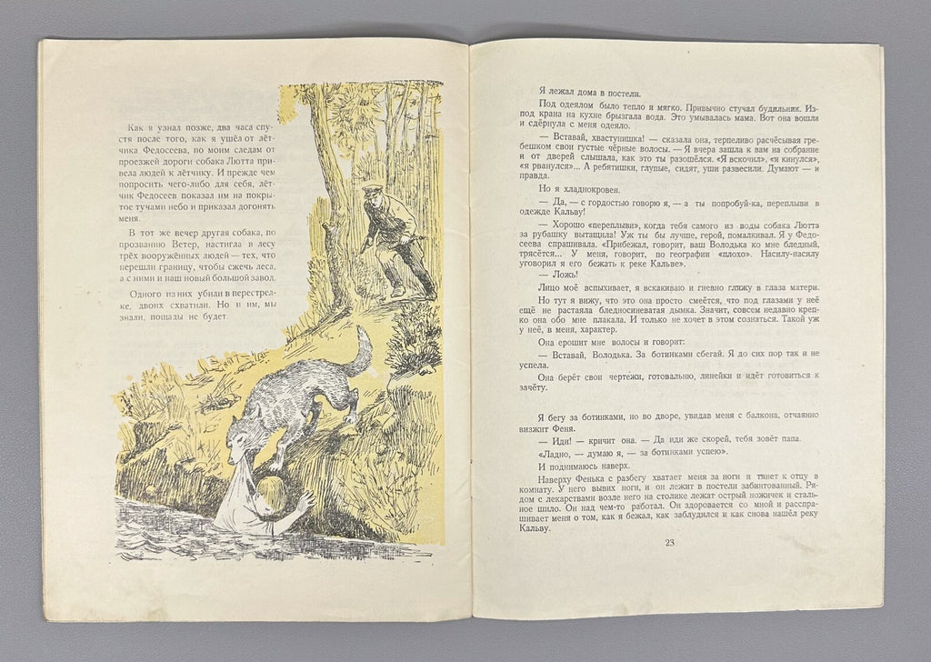 Gaidar Smoke in the Forest USSR Soviet book 1951 Гайдар Дым в лесу Рассказ