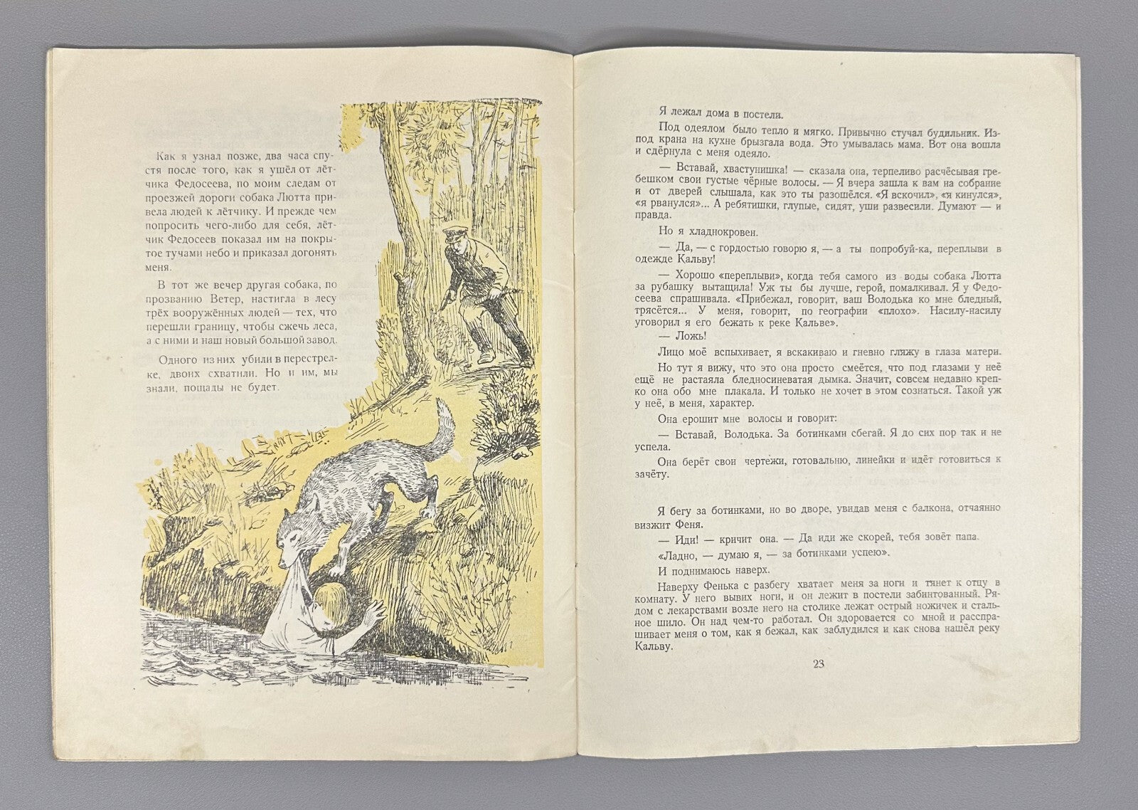 Gaidar Smoke in the Forest USSR Soviet book 1951 Гайдар Дым в лесу Рассказ