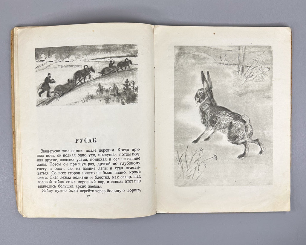 Толстой Рассказы о животных Ватагина 1936 Tolstoy Stories about Animals Vatagin
