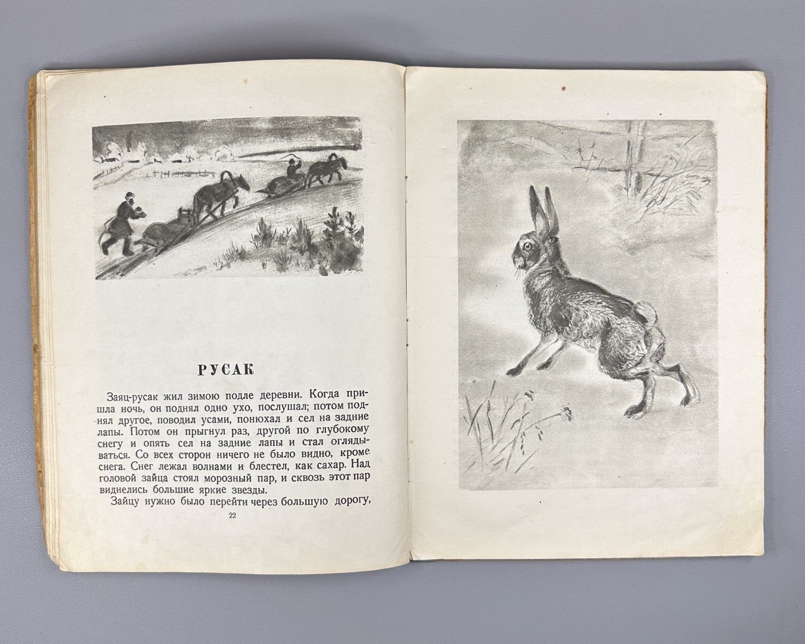 Толстой Рассказы о животных Ватагина 1936 Tolstoy Stories about Animals Vatagin