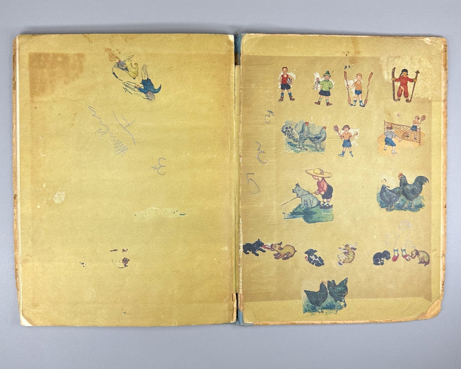 Толстой Рассказы о животных Ватагина 1936 Tolstoy Stories about Animals Vatagin
