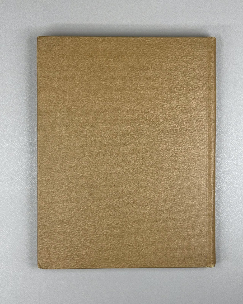 Nosov Jolly Family Konovalov 1955 children’s beekeeping English Soviet Neznayka