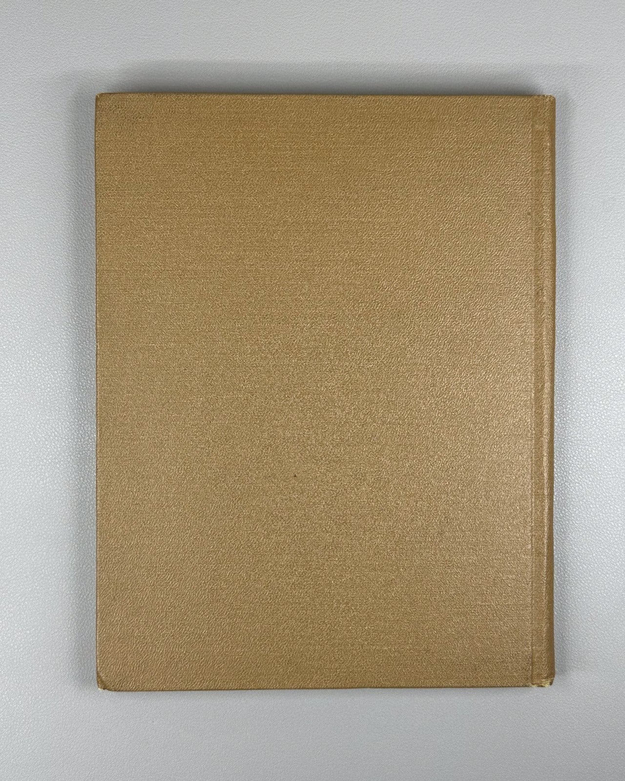 Nosov Jolly Family Konovalov 1955 children’s beekeeping English Soviet Neznayka