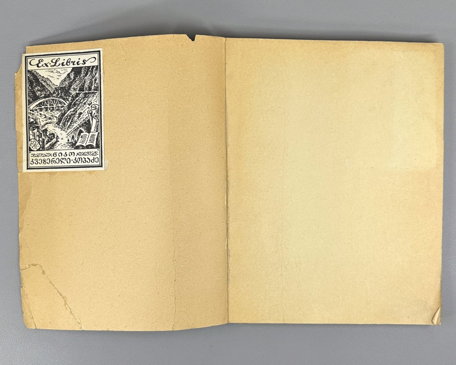 Искусство Грузии 1937 Georgian Art Iskusstvo Gruzii Ucha  Japaridze Rare Russian