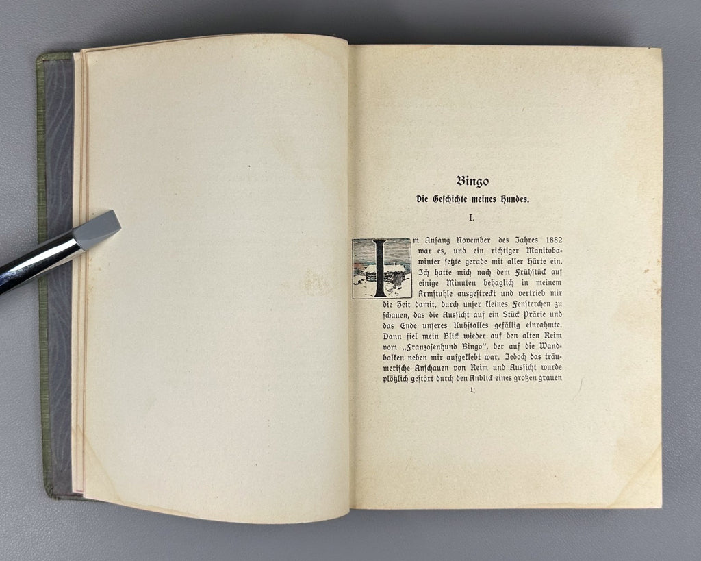 Ernest Thompson Seton Bingo und andere Tiergeschichten 1908 German Ninth edition