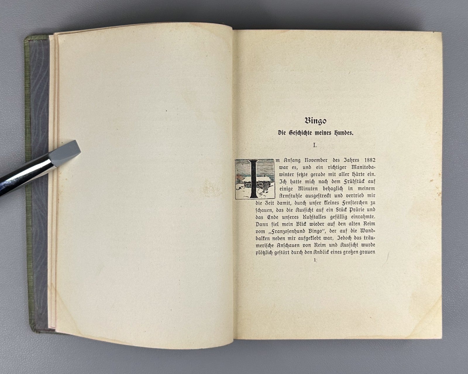Ernest Thompson Seton Bingo und andere Tiergeschichten 1908 German Ninth edition