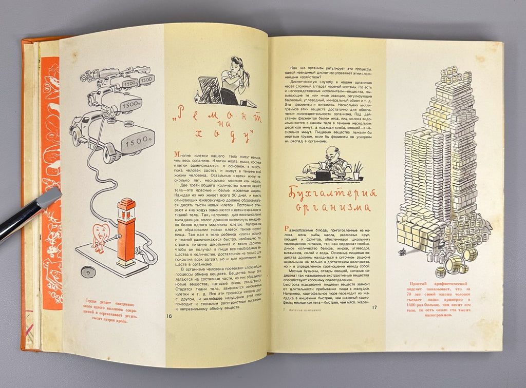 Питание школьника 1963 Schoolchild Nutrition child dietetics dietology Soviet