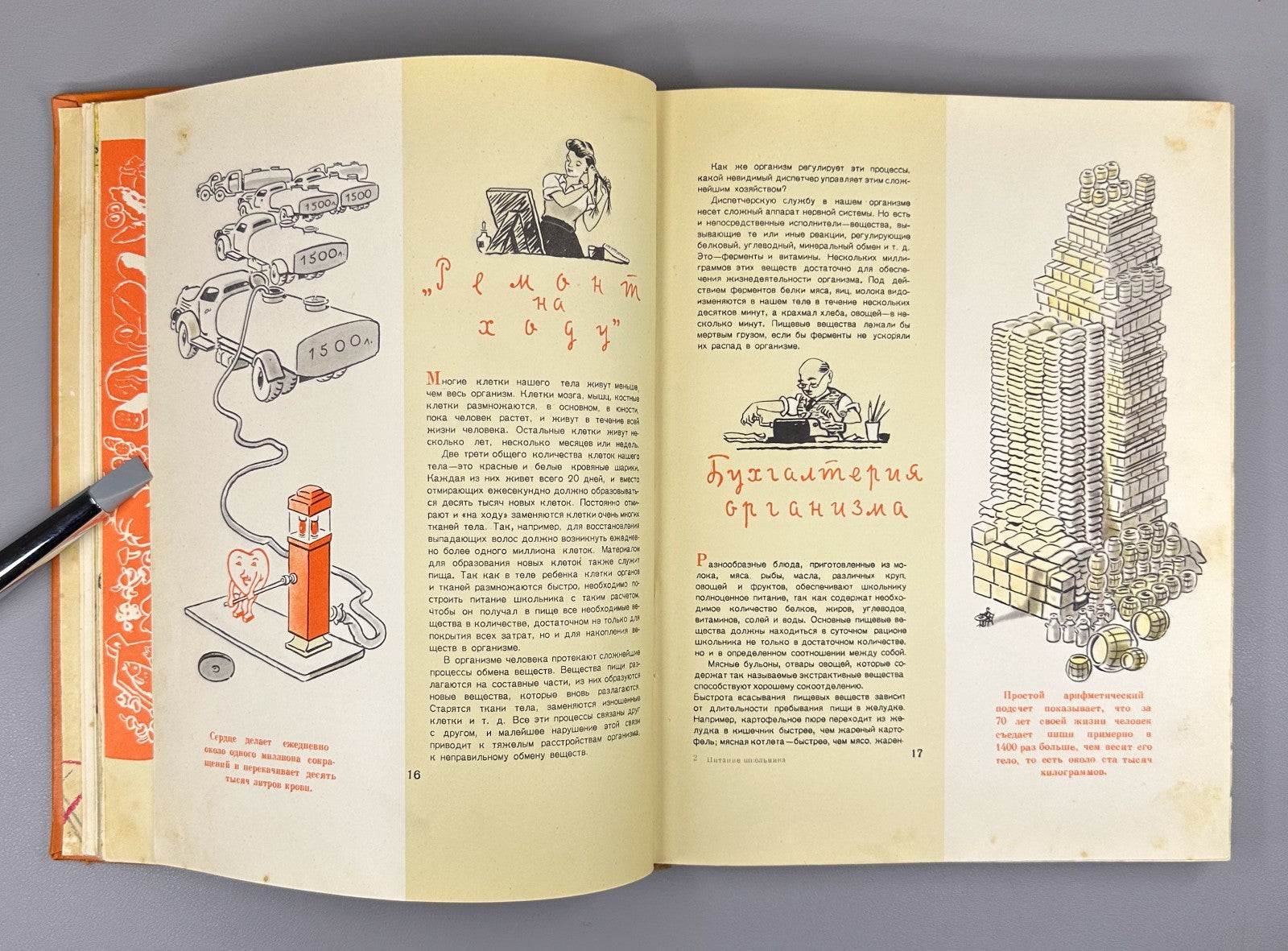Питание школьника 1963 Schoolchild Nutrition child dietetics dietology Soviet