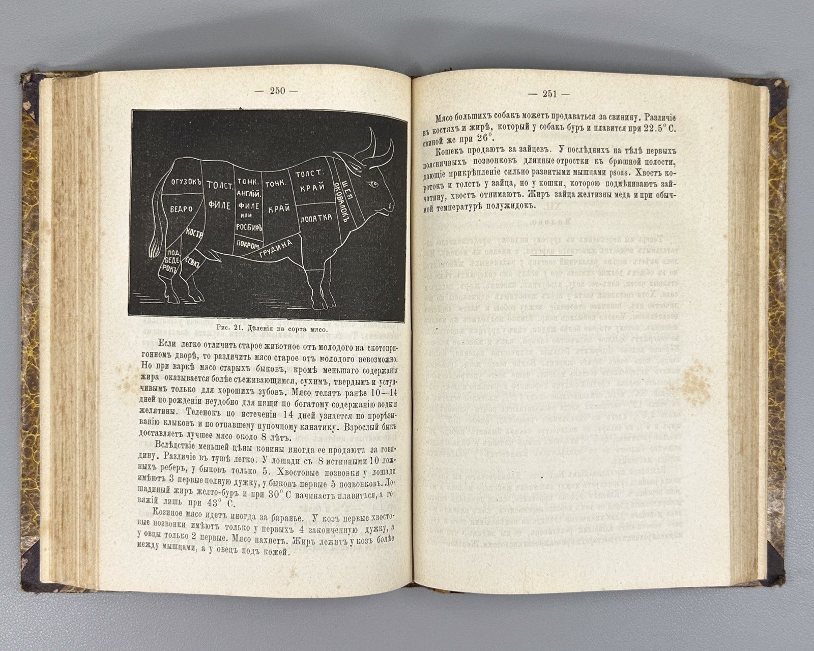 1st ed.  Dobroslavin Hygiene 1884 Доброславин Гигиена Часть 2 Здравоохранение