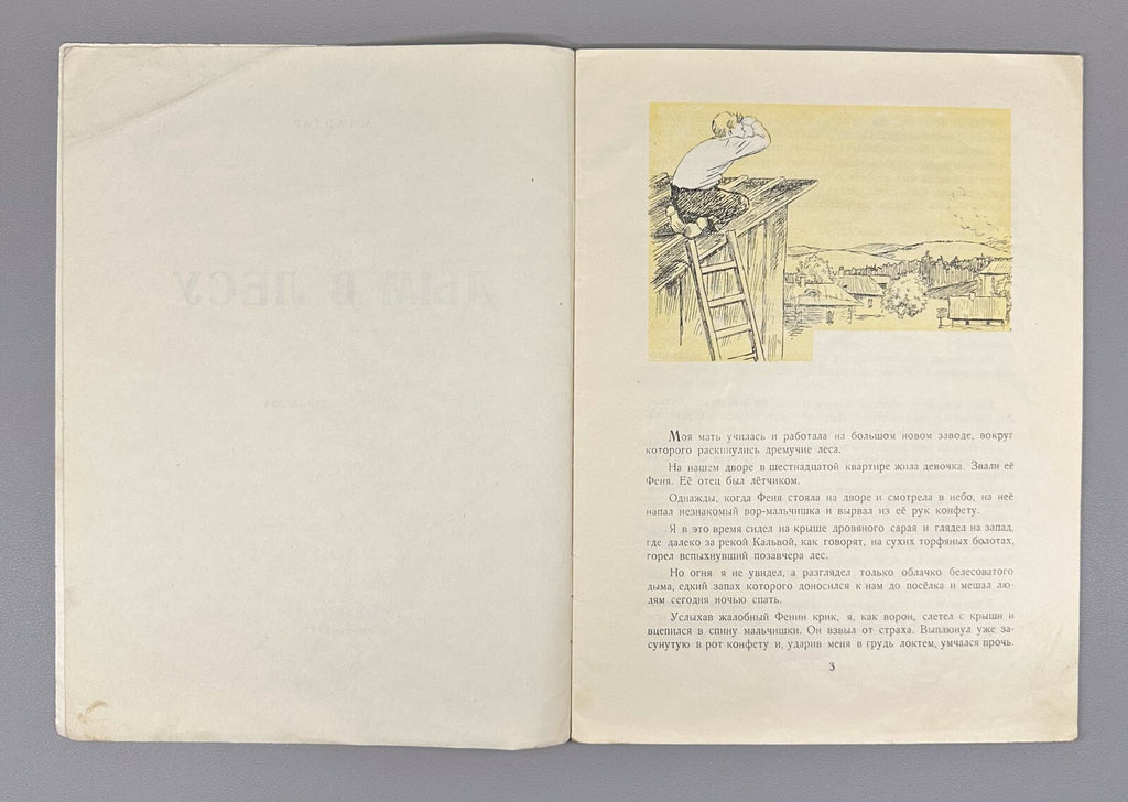 Gaidar Smoke in the Forest USSR Soviet book 1951 Гайдар Дым в лесу Рассказ
