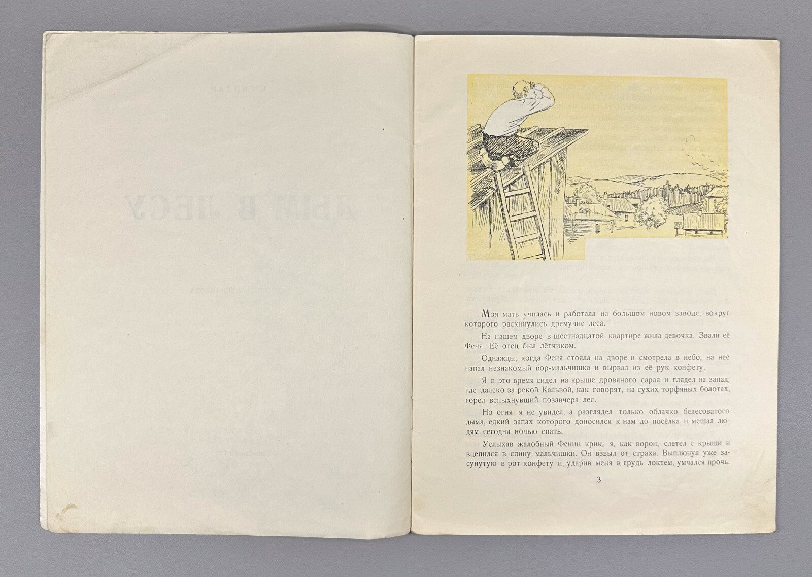 Gaidar Smoke in the Forest USSR Soviet book 1951 Гайдар Дым в лесу Рассказ
