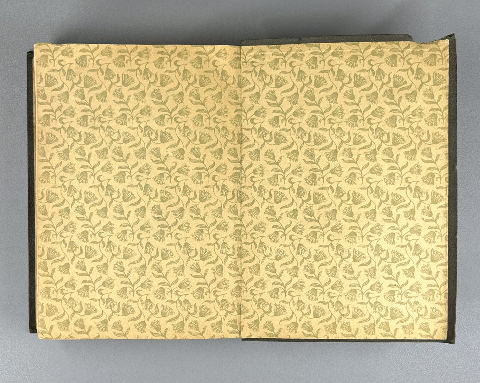 1st ed. Zaleman Forest Charter Complete set 1910 Залеман Лесной Устав Rare