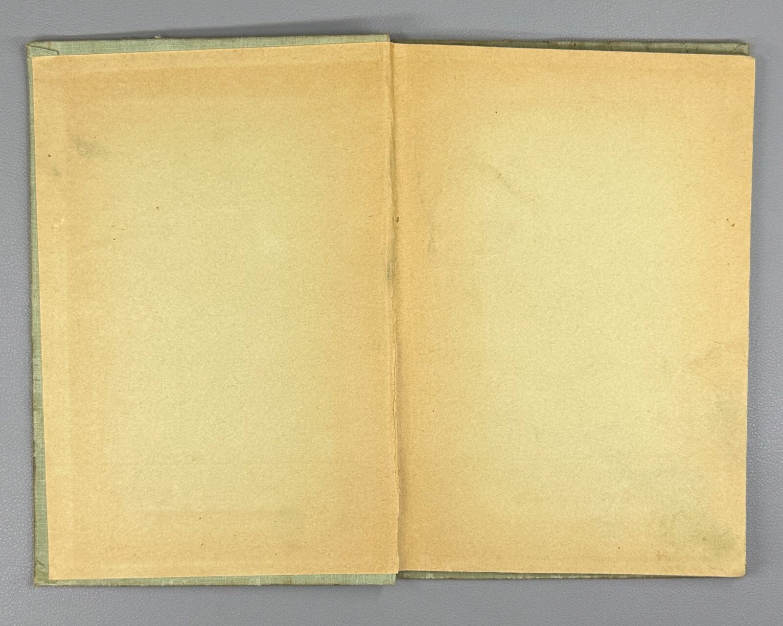 Panteleev Package Paket Children’s book USSR 1936 Пантелеев Пакет СССР Тырса