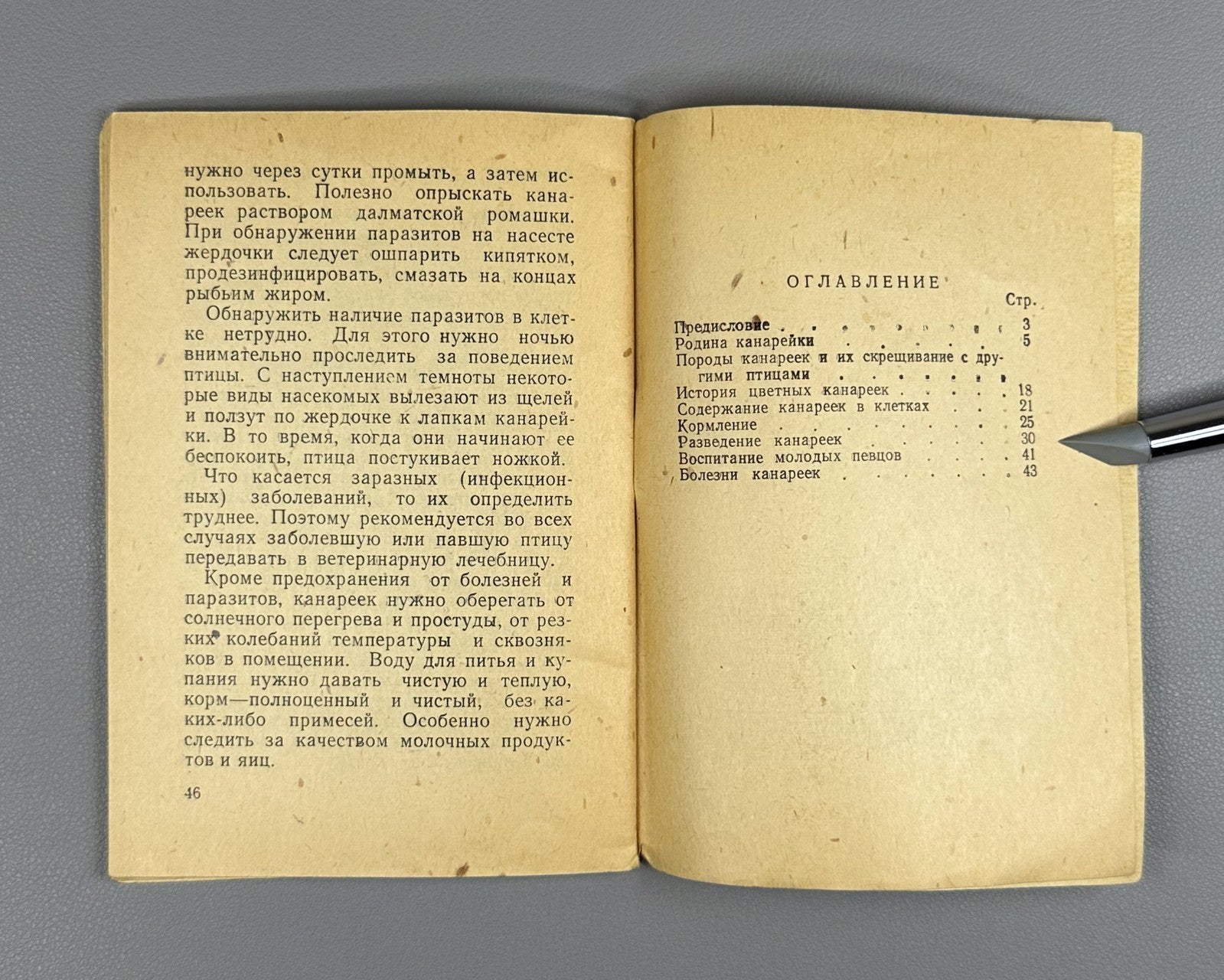Rzhevsky Canary Keeping Songbir 1964 Ржевский Канарейка Содержание певчих птиц