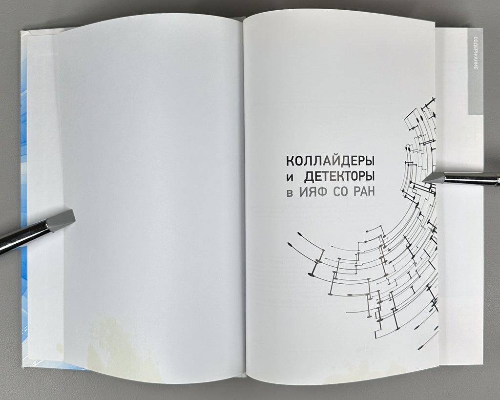 1st ed. Colliders and Detectors 2019 Коллайдеры и детекторы в ИЯФ СО РАН