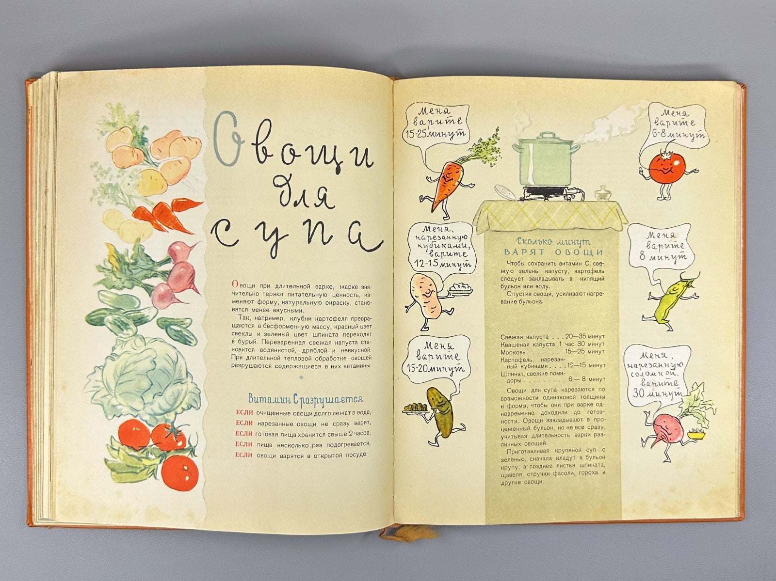 Питание школьника 1963 Schoolchild Nutrition child dietetics dietology Soviet