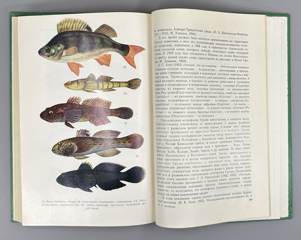 Эланидзе Ихтиофауна рек и озёр Грузии 1983 Elanidze Fish fauna of Georgia Rivers