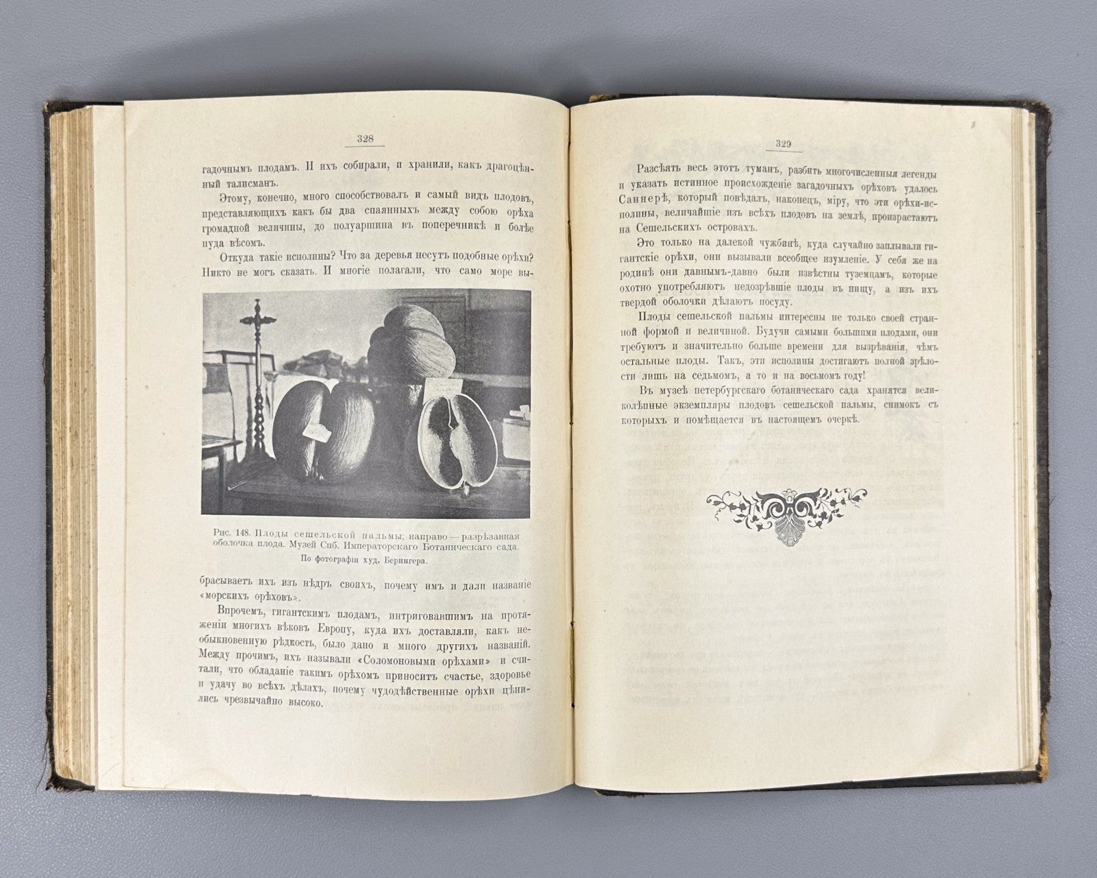 Васильковский Чудеса растительного царства 1912 Vasilkovsky Plant Kingdom Wonder