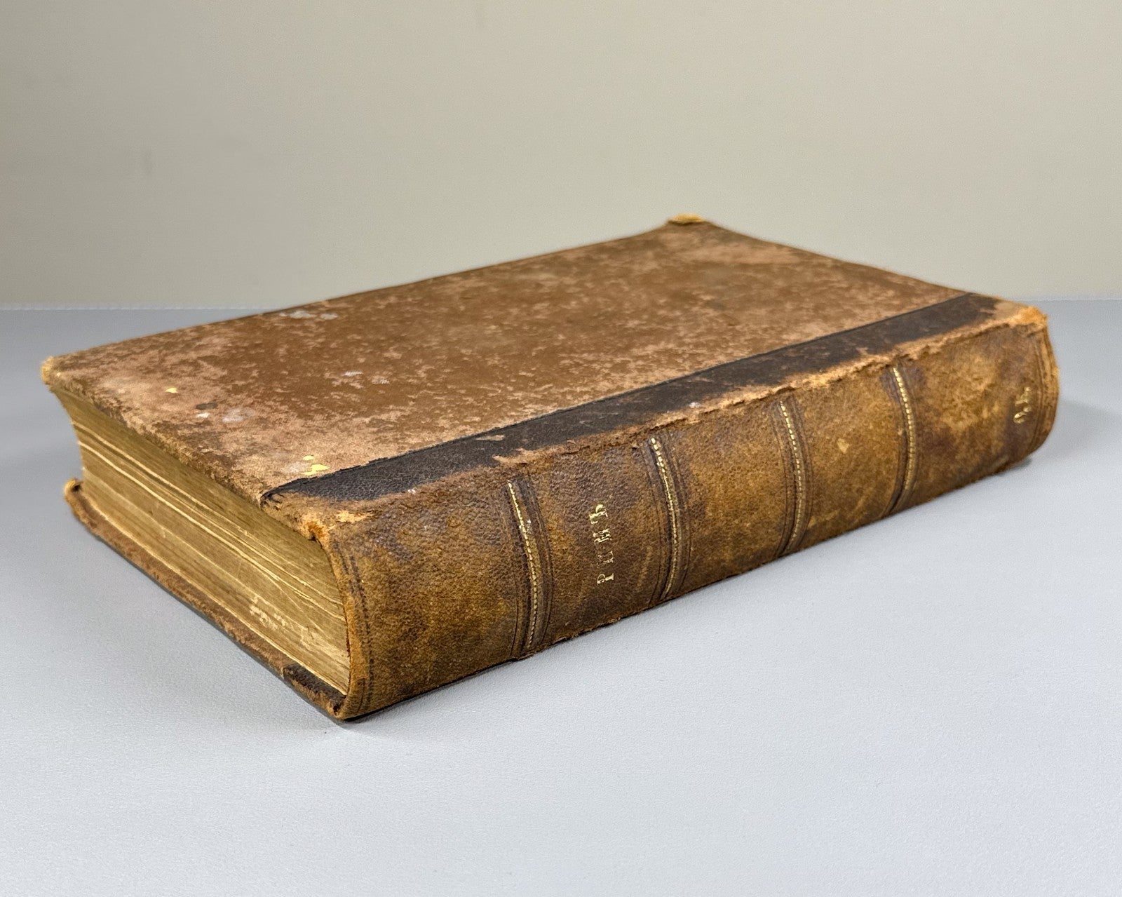 Золя Рим 1896 Émile Zola Rome Ранцов Russian Типография бр. Пантелеевых Lifetime