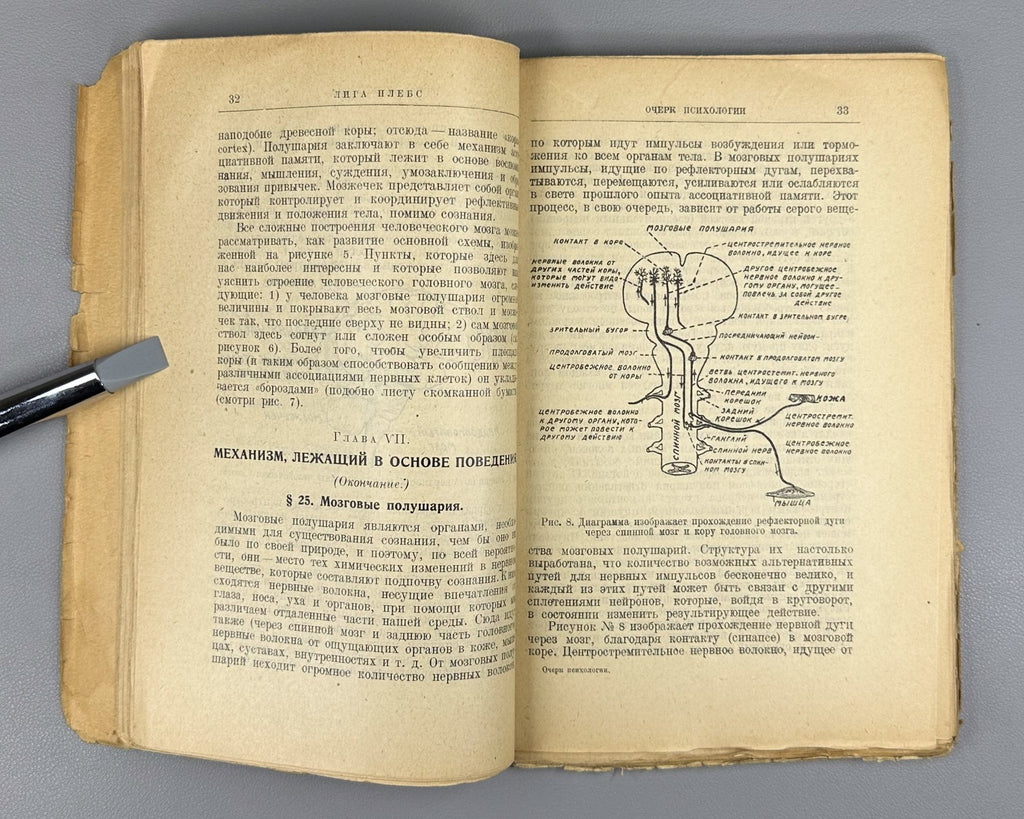 Jameson An Outline of Psychology 1925 Джемсон Очерк психологии