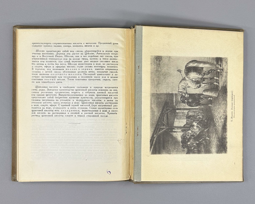 Суворов Искусство литографии 1947 Suvorov Art of Lithography Guide for Artists