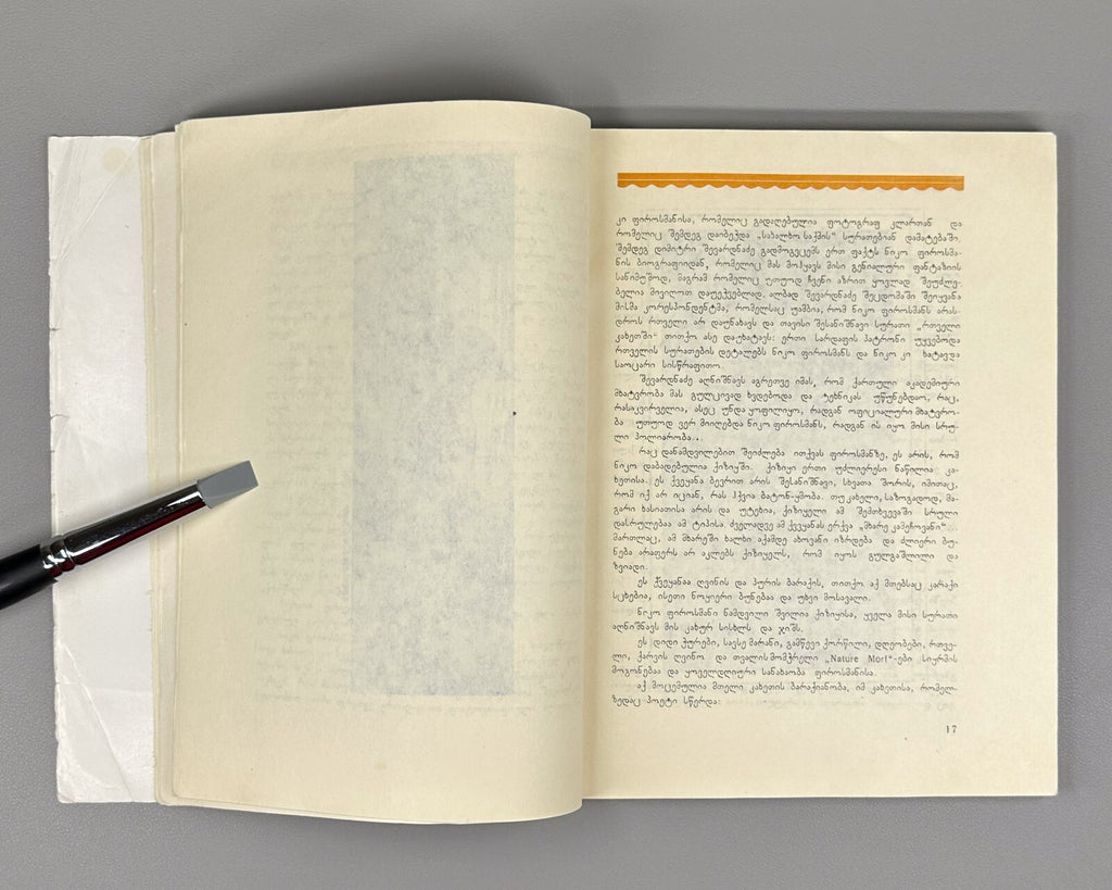 Niko Pirosmanishvili Pirosmani 1996 Reprint 1926 Tabidze Robakidze Zdanevich