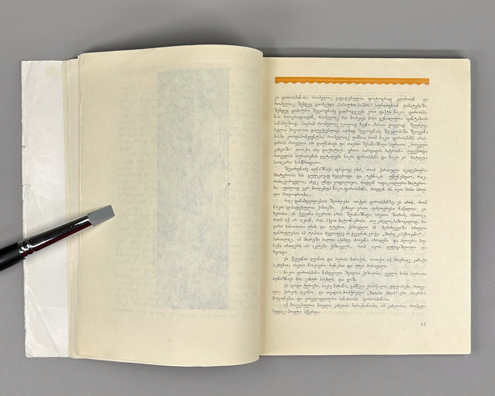 Niko Pirosmanishvili Pirosmani 1996 Reprint 1926 Tabidze Robakidze Zdanevich