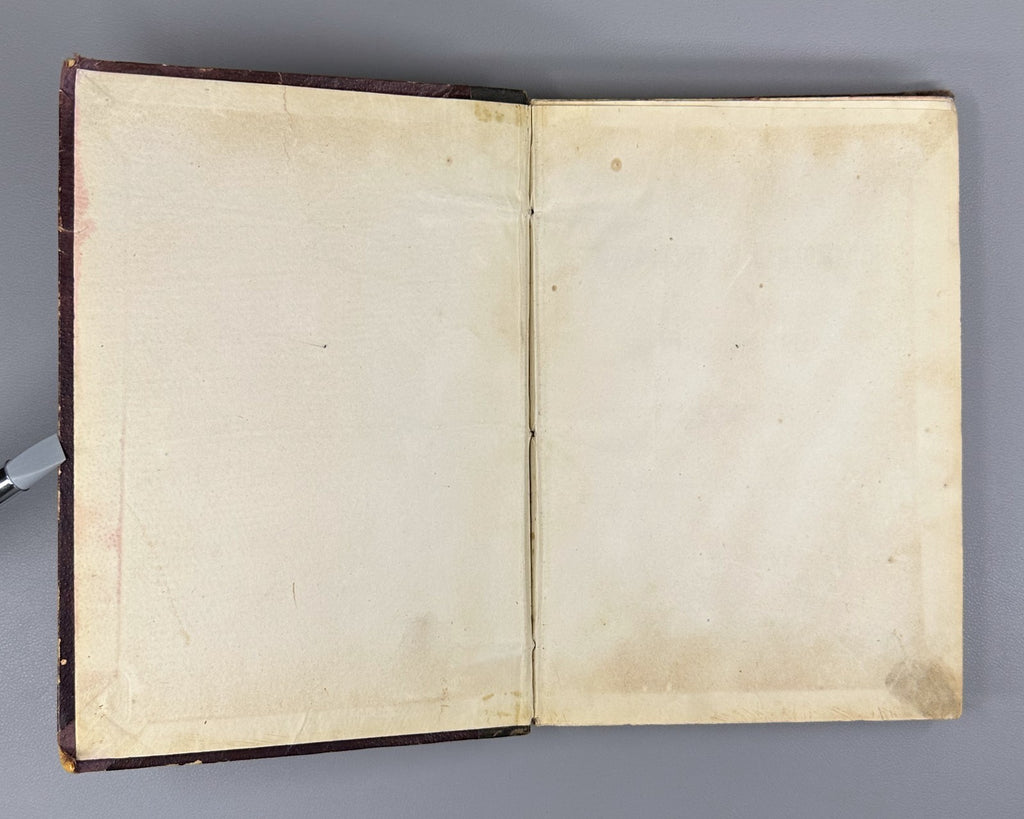 Литературные приложения к журналу Нива за 1895 Niva Magazine Literary Supplement