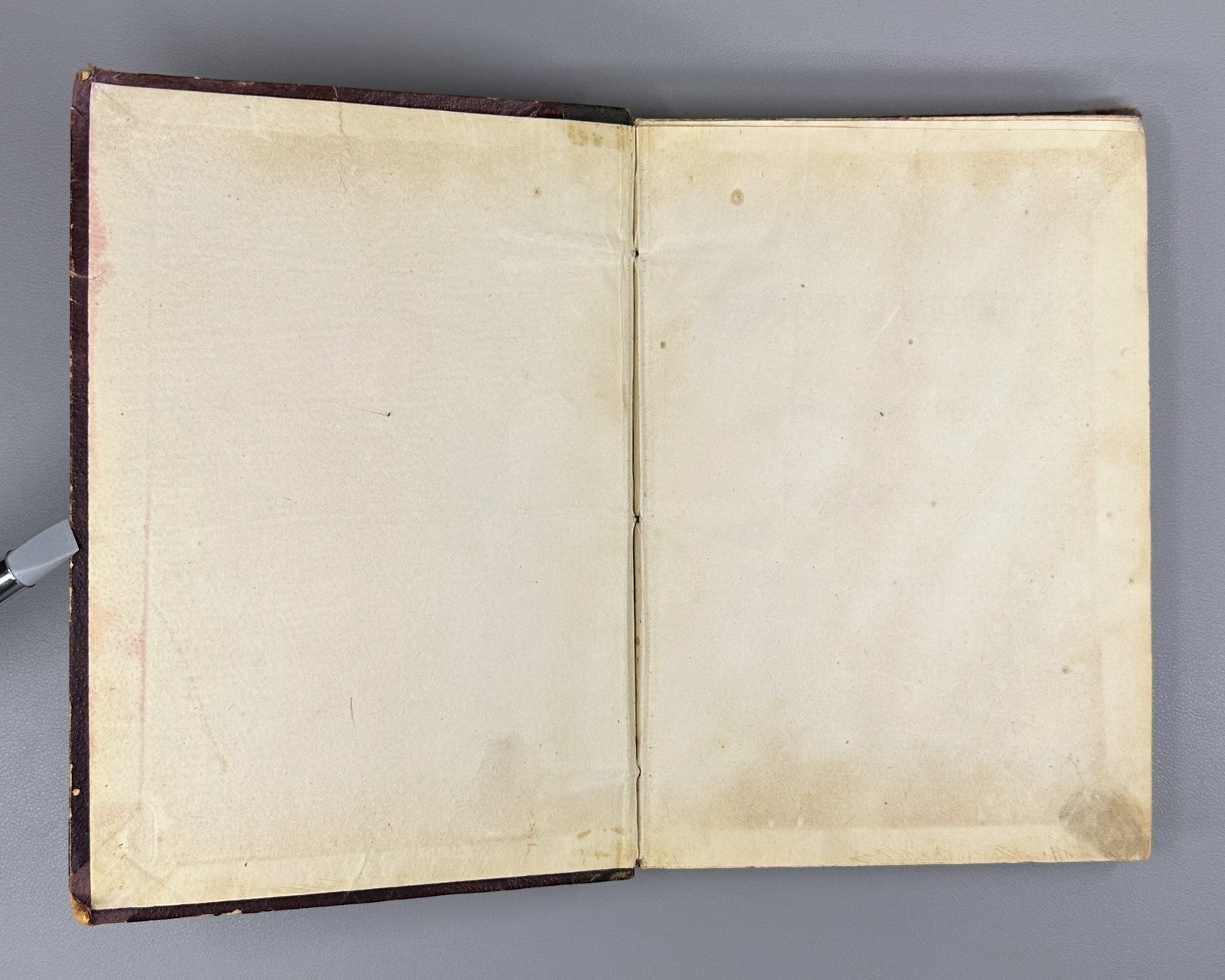Литературные приложения к журналу Нива за 1895 Niva Magazine Literary Supplement