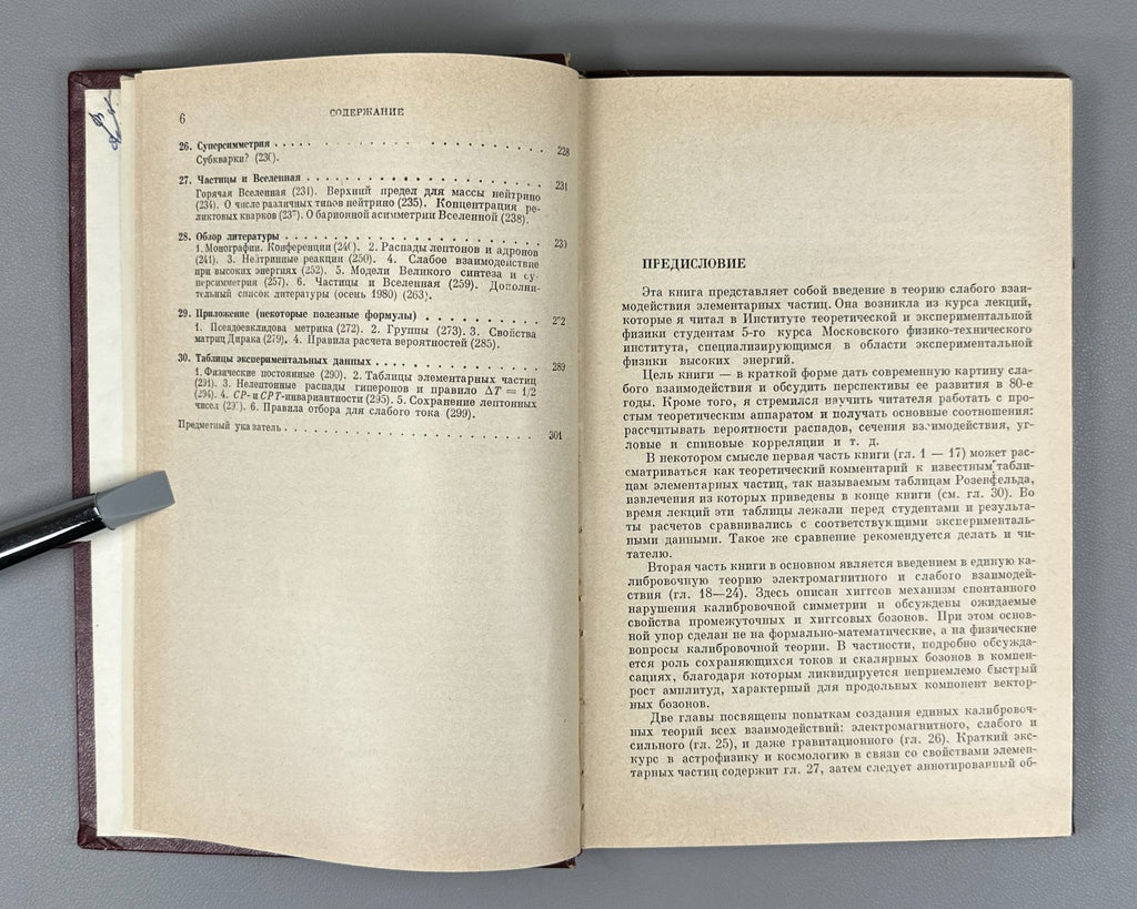 1st ed. Leptons & Quarks Soviet Science 1981 Окунь Лептоны и кварки Физика СССР