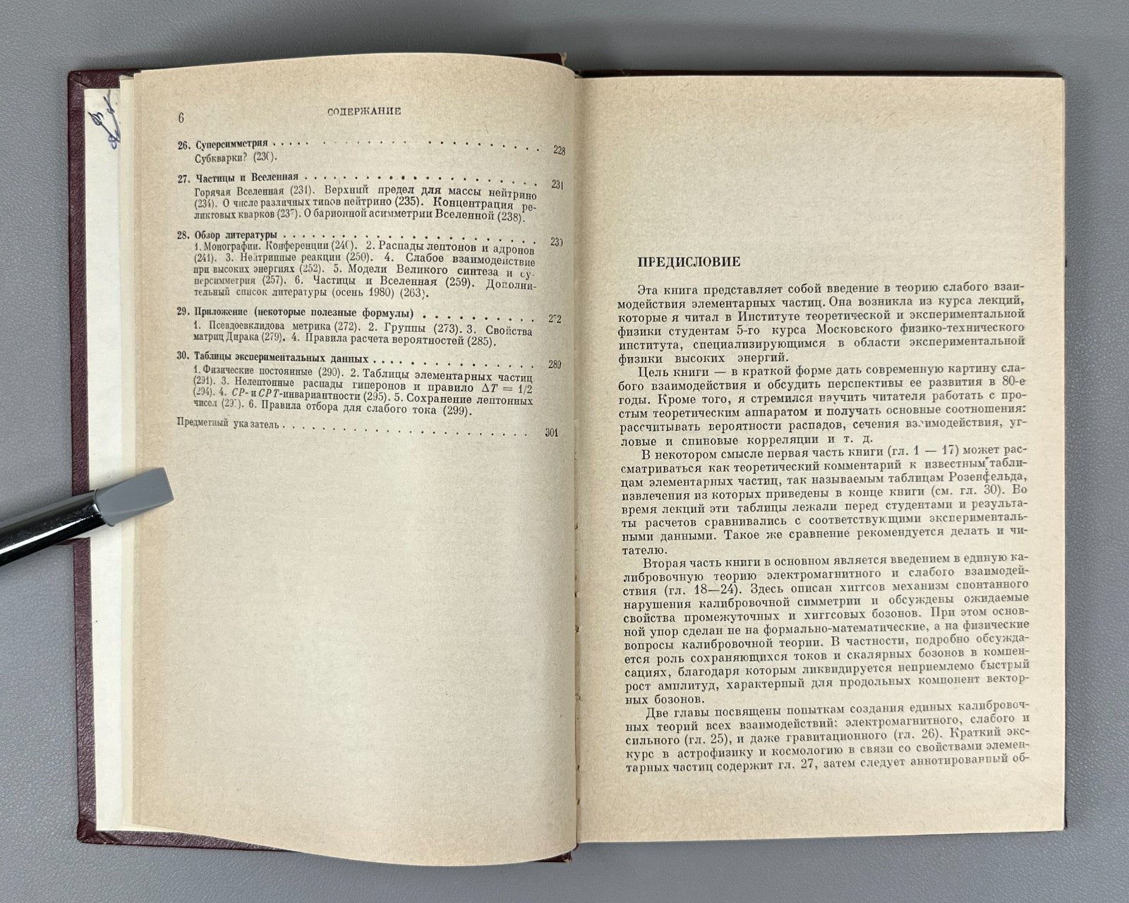 1st ed. Leptons & Quarks Soviet Science 1981 Окунь Лептоны и кварки Физика СССР