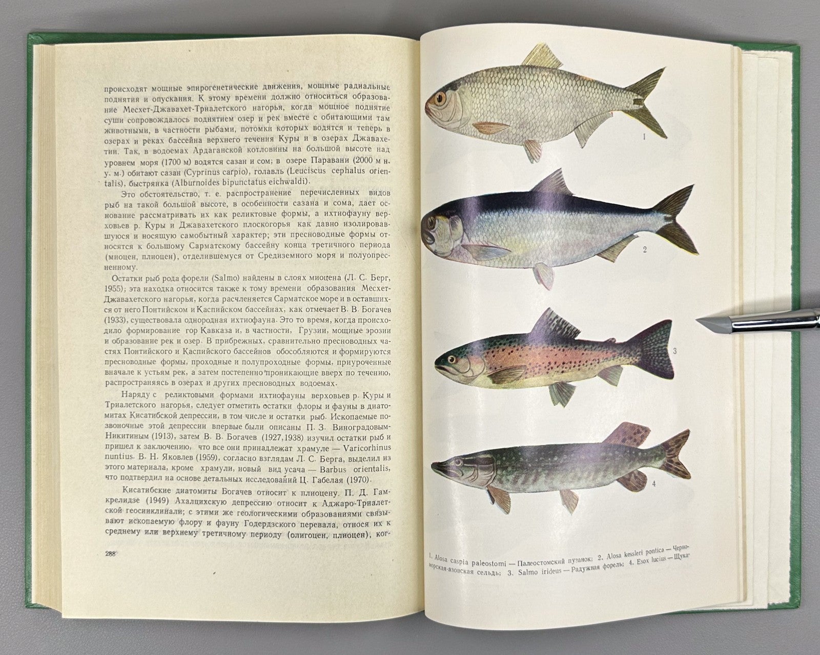 Эланидзе Ихтиофауна рек и озёр Грузии 1983 Elanidze Fish fauna of Georgia Rivers