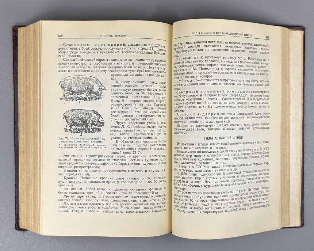 Food Products USSR Cooking 1954 Товароведение продовольственных товаров Смирнов