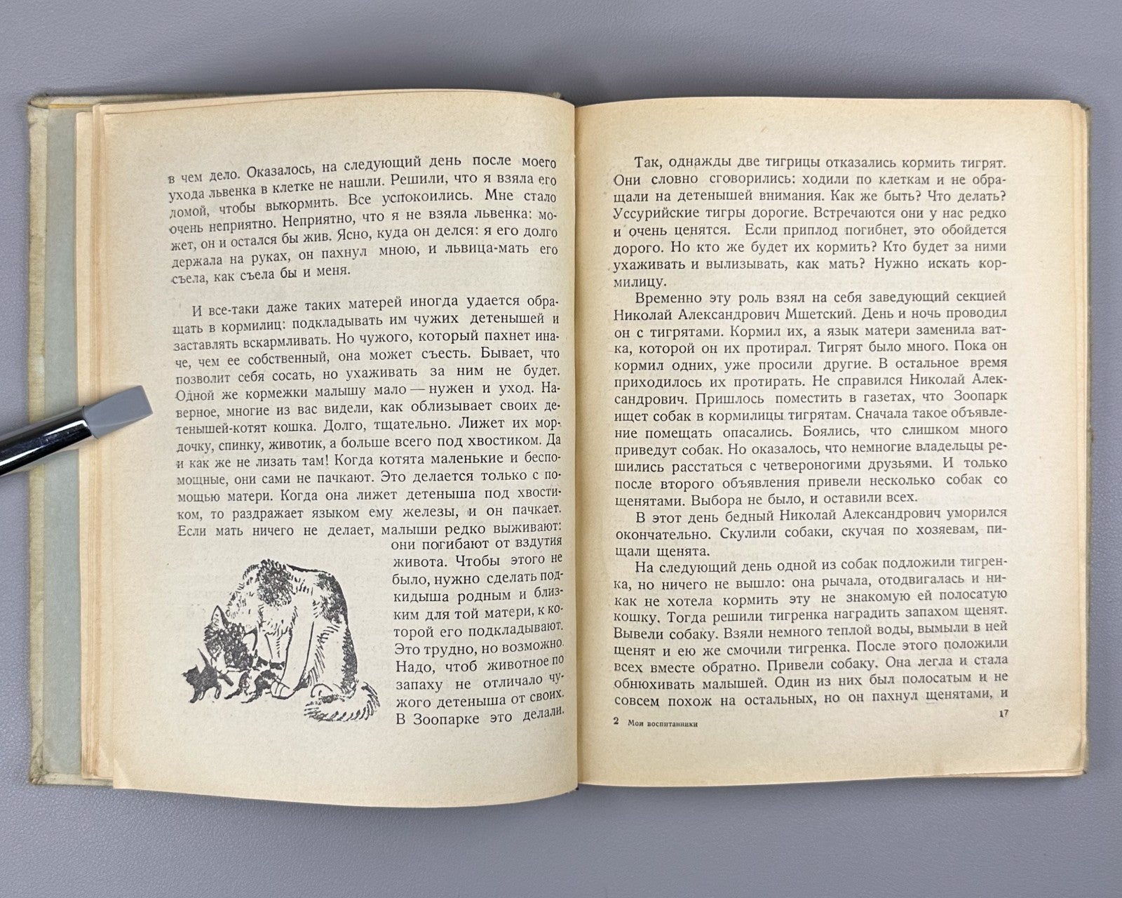 Чаплина Мои воспитанники 1937 Chaplina My Wards Gorlov Nikolsky children's Rare