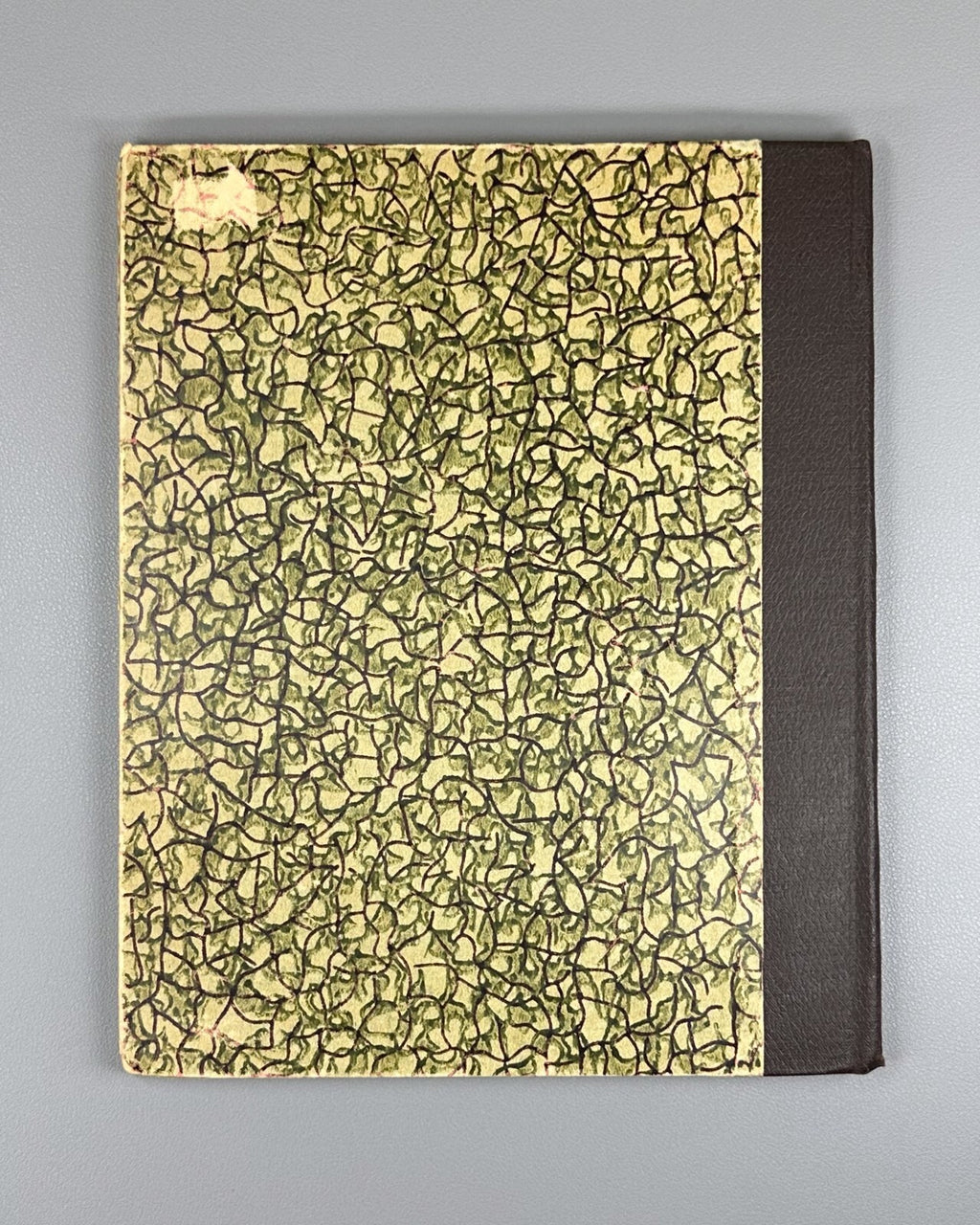 The Tale of Igor's Campaign reprint from 1st ed. 1920 Слово о полку Игореве