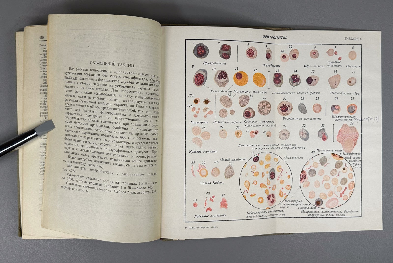 Шиллинг Картина крови 1931 Schilling The Blood Picture Tropical Diseases Russian