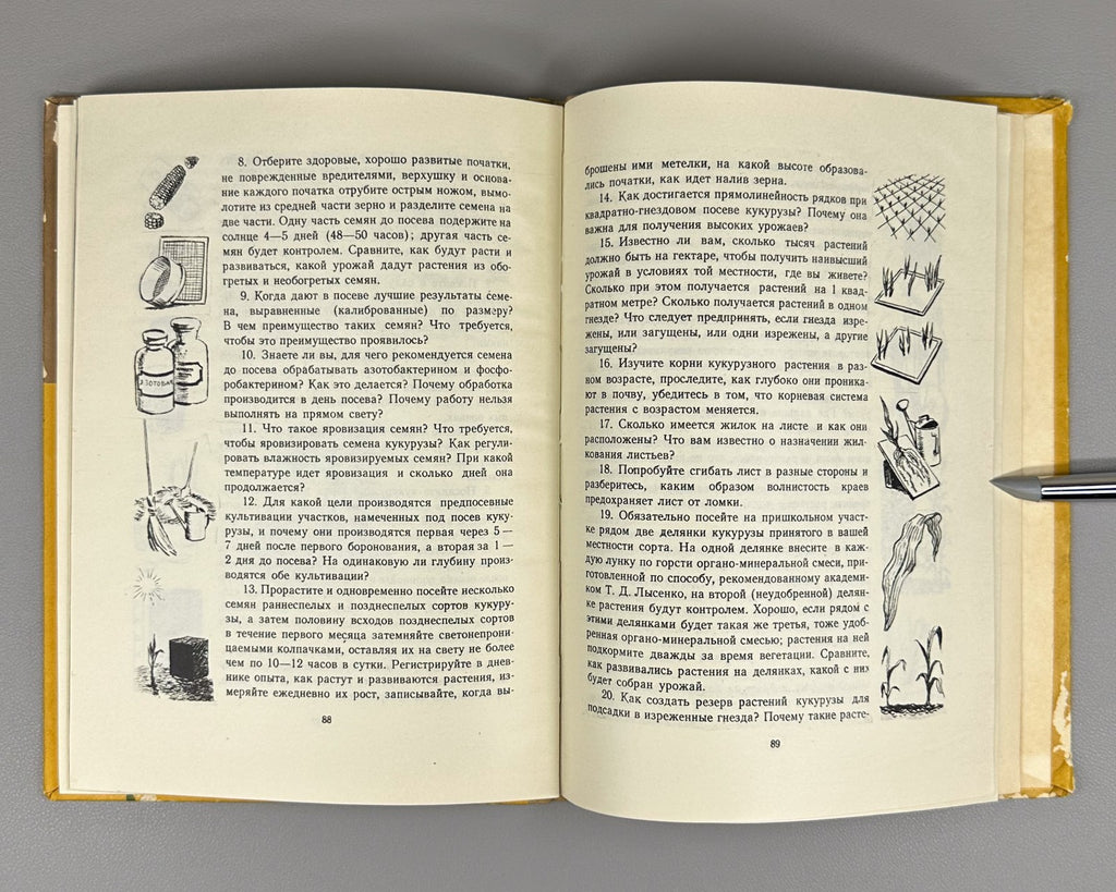 Гришин История початка и ее продолжение 1956 Grishin The History of the Corncob