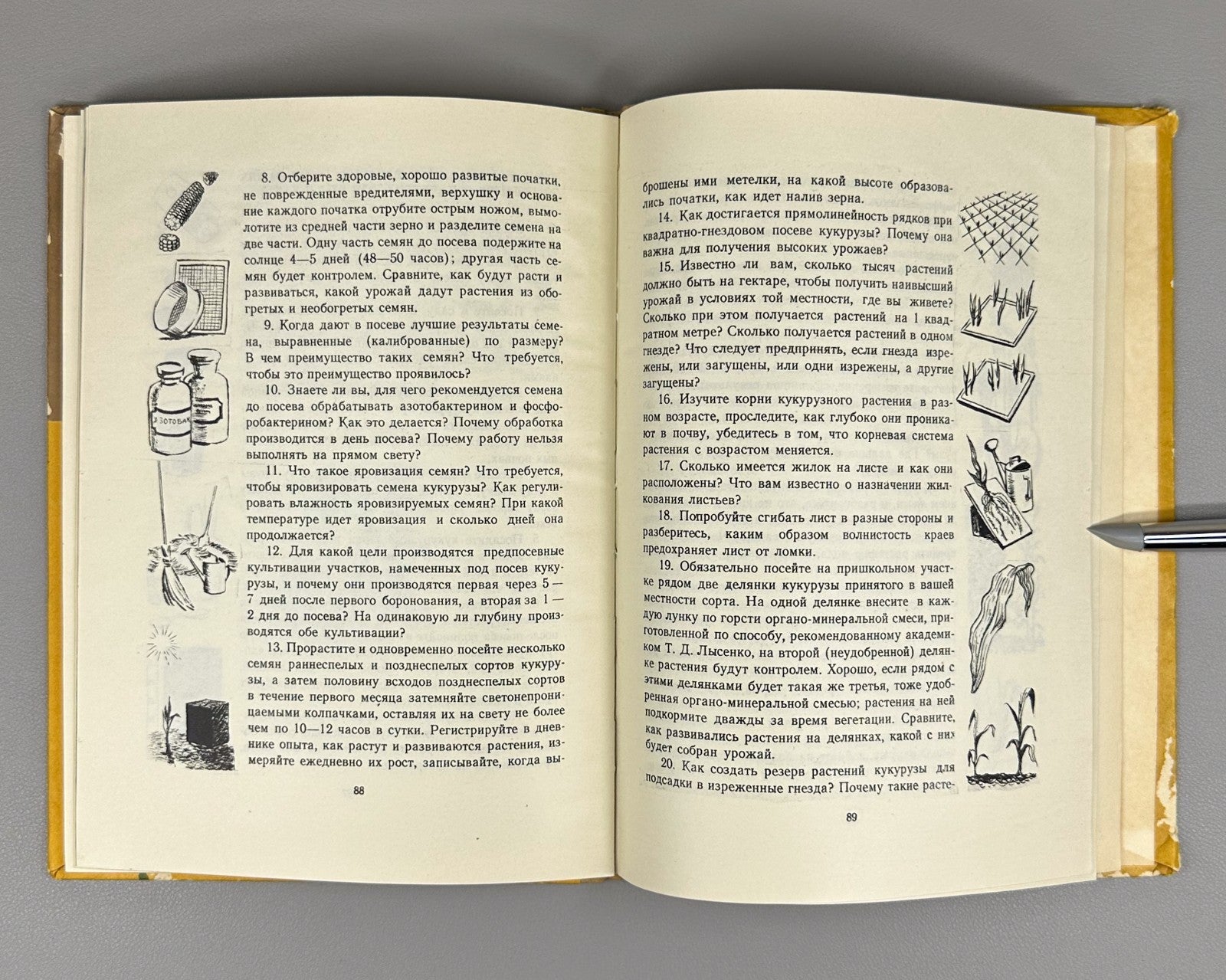 Гришин История початка и ее продолжение 1956 Grishin The History of the Corncob