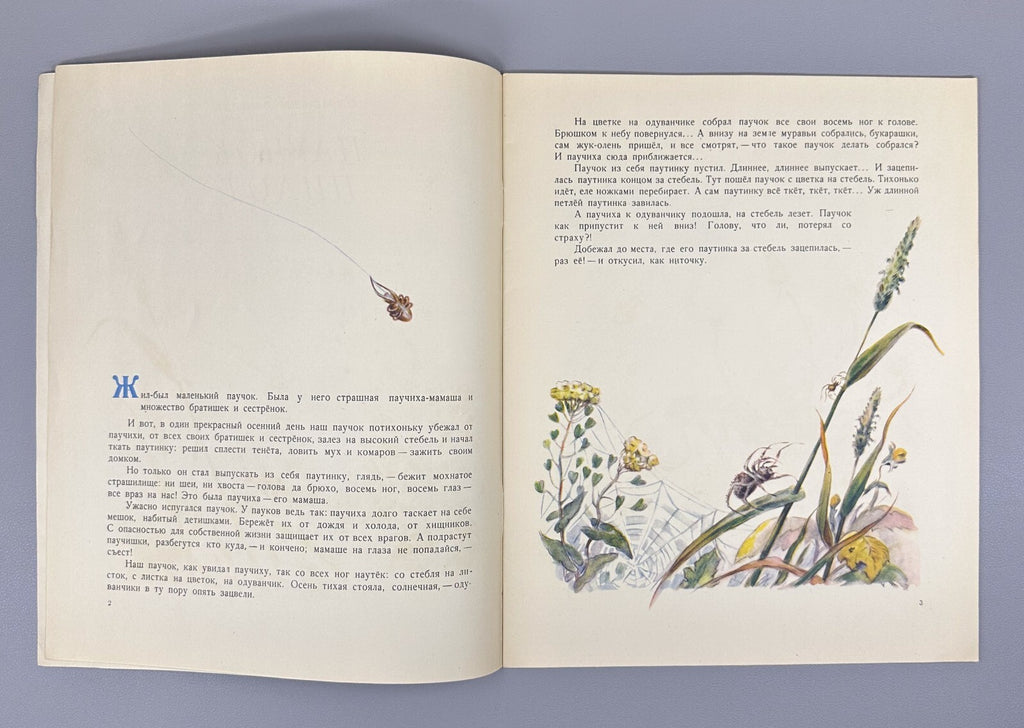Bianki Spider Pilot Story USSR paper book 1956 Бианки Паучок пилот Рассказ