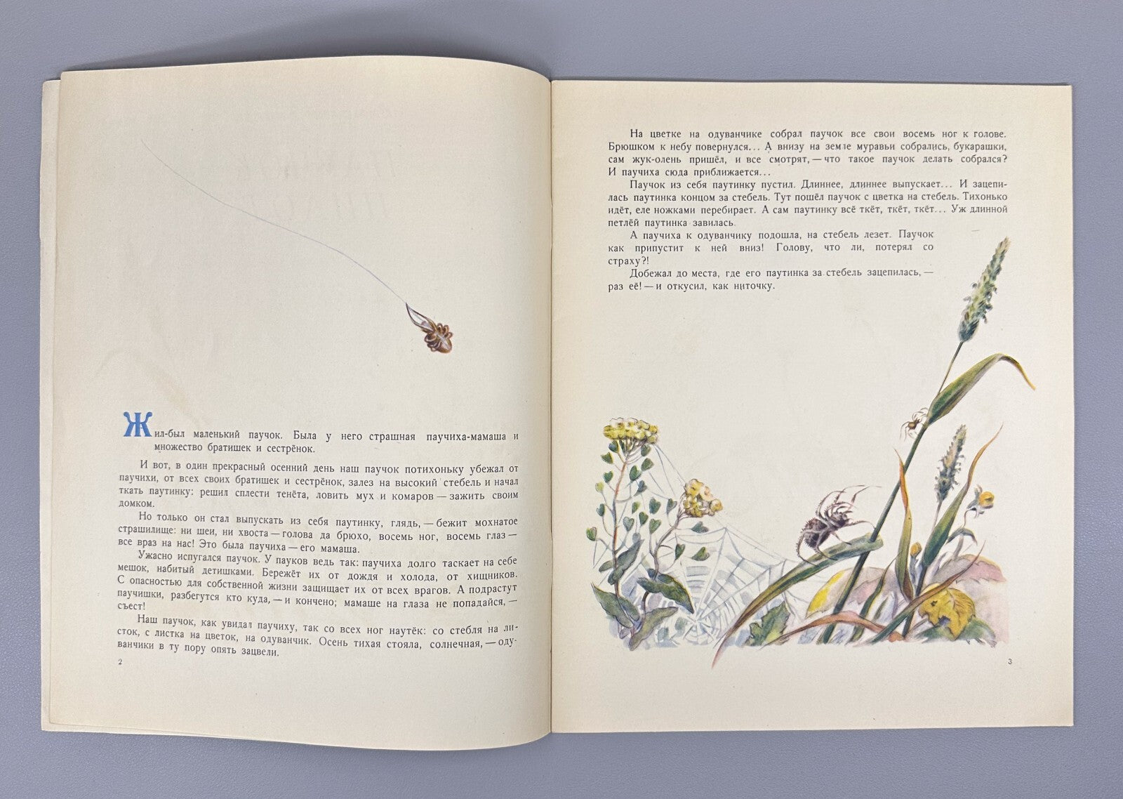 Bianki Spider Pilot Story USSR paper book 1956 Бианки Паучок пилот Рассказ