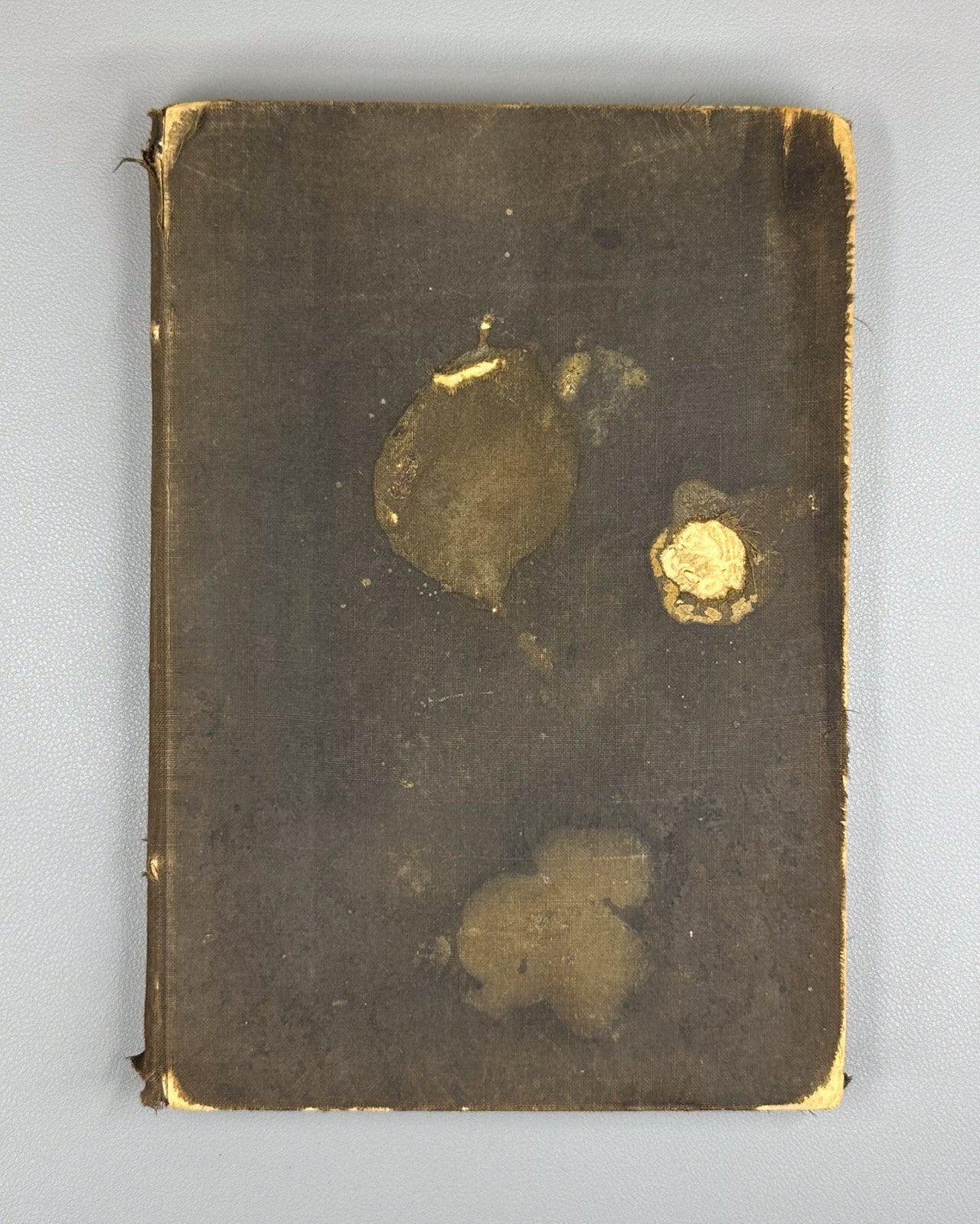 Questions of Philosophy & Psychology Soloviev 1893 Вопросы философии и психологи