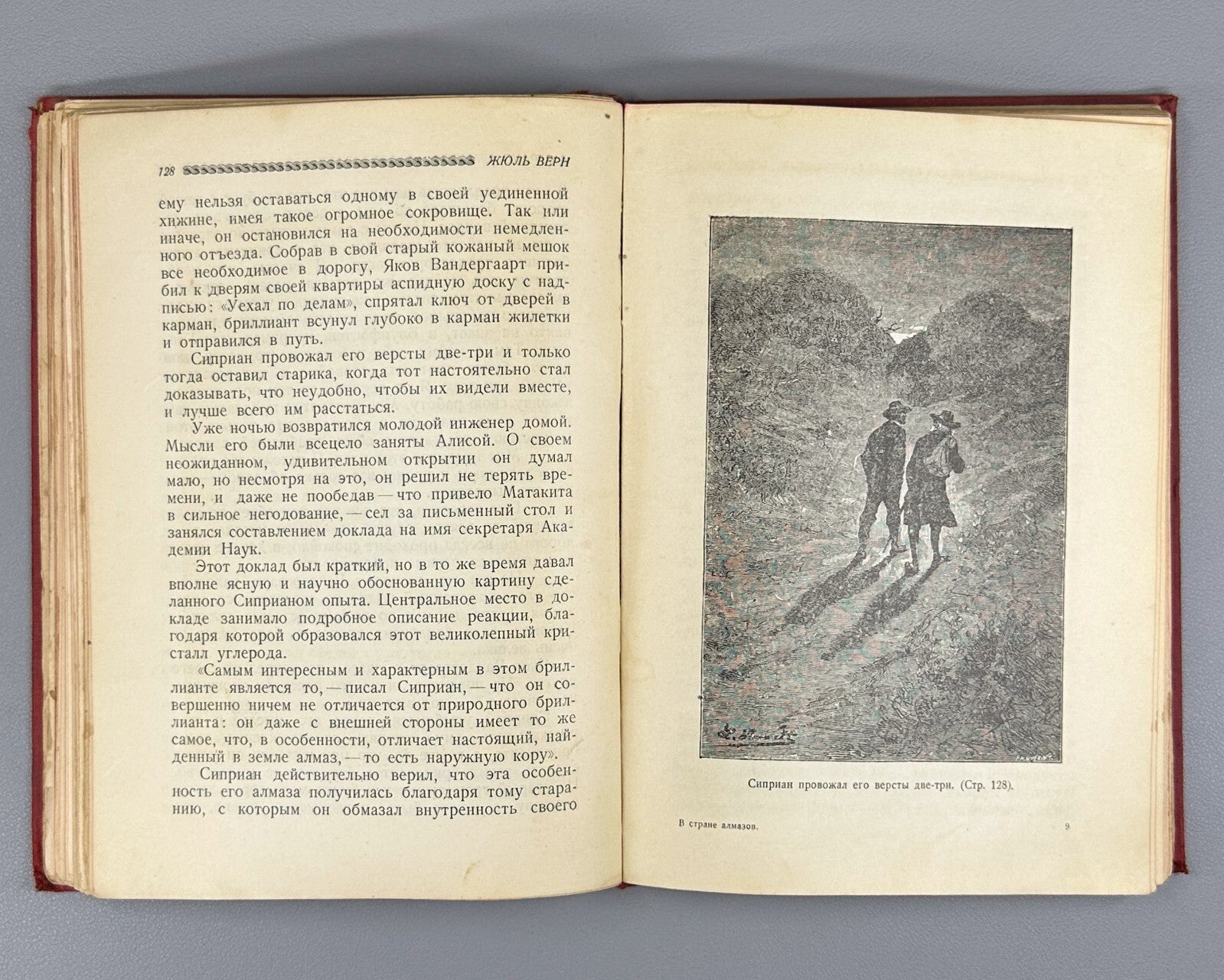 Jules Verne In the Country of Diamonds Adventure 1929 Жюль Верн В стране алмазов