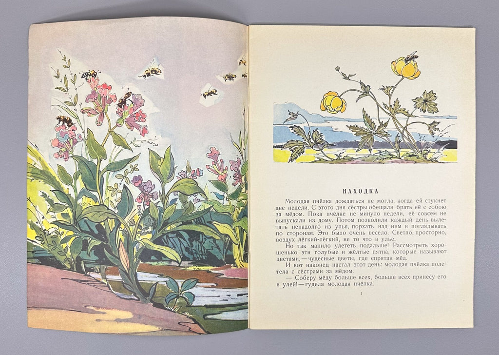 Pavlova Yellow white purple 1966 Children’s book Павлова Желтый, белый, лиловый