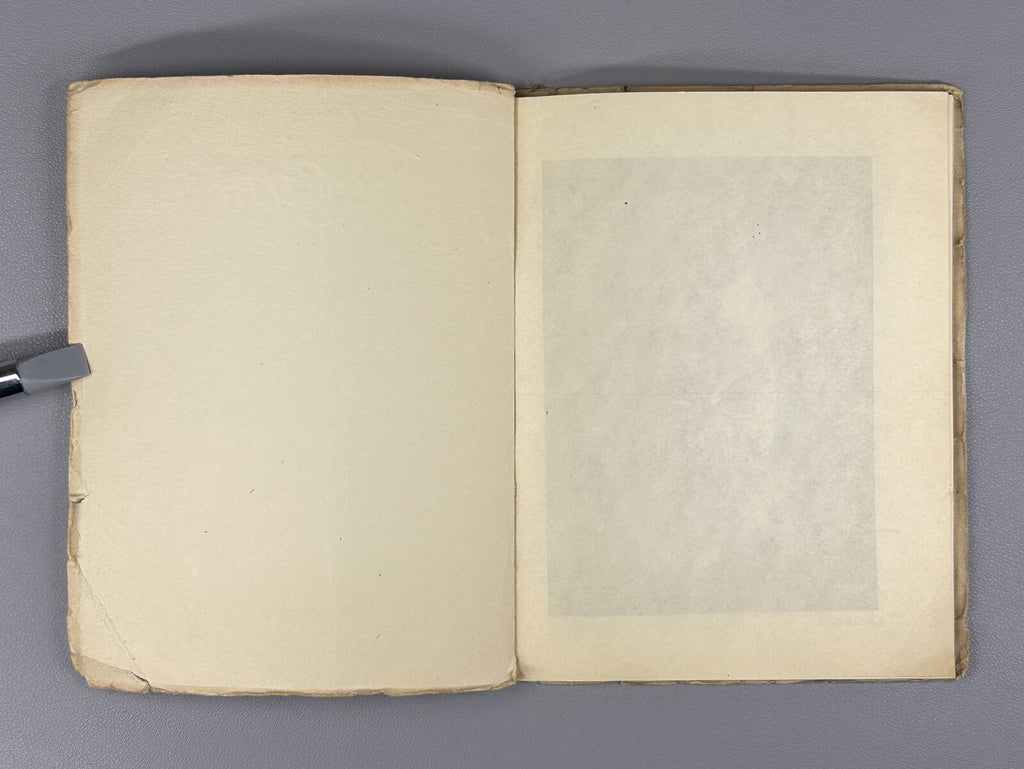 1st ed. Heinrich Zille Mietskaserne Berlin Slums Берлинские трущобы Цилле 1932