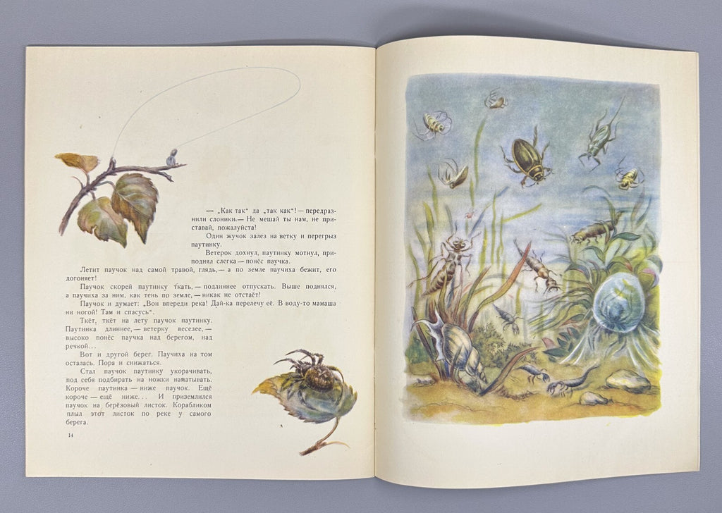 Bianki Spider Pilot Story USSR paper book 1956 Бианки Паучок пилот Рассказ