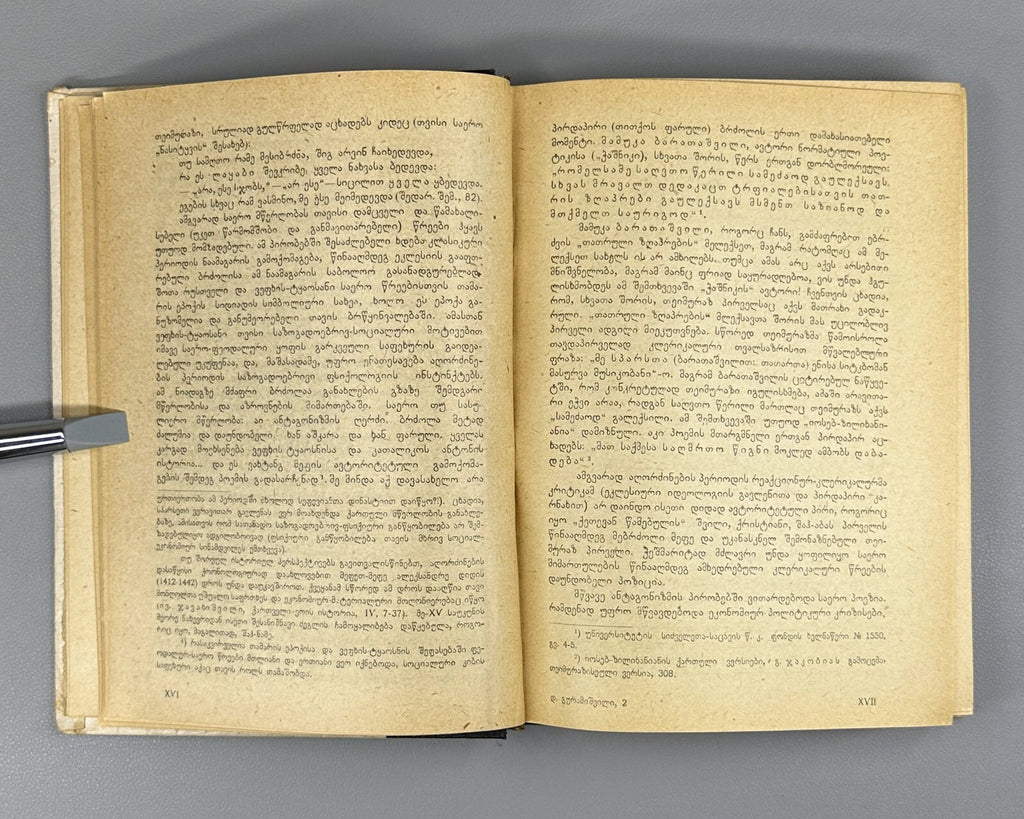 Davitiani David Guramishvili 1931 Georgian literature დავითიანი