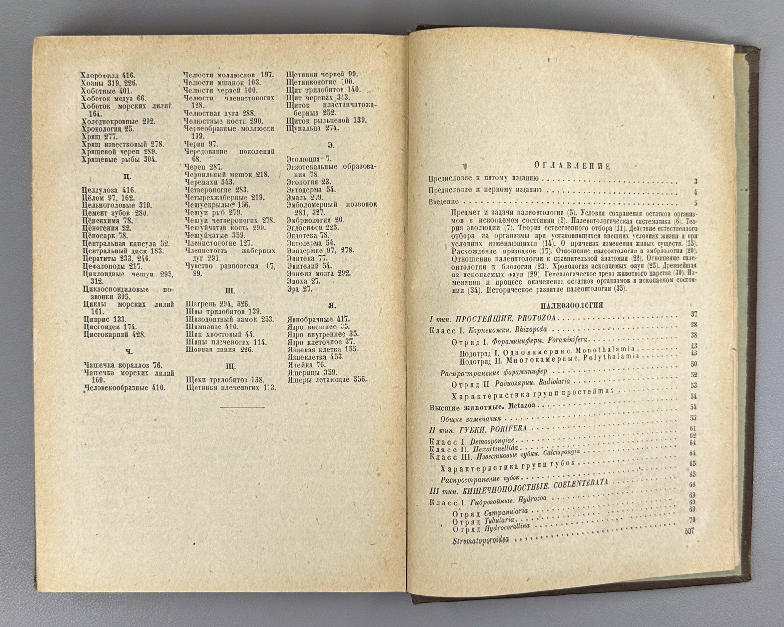 Яковлев Учебник палеонтологии 1937 Yakovlev Paleontology Textbook Soviet Russian